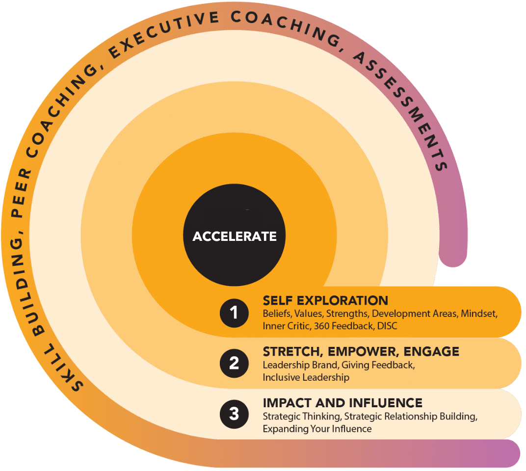 TNS ACCELERATE infographic - program features