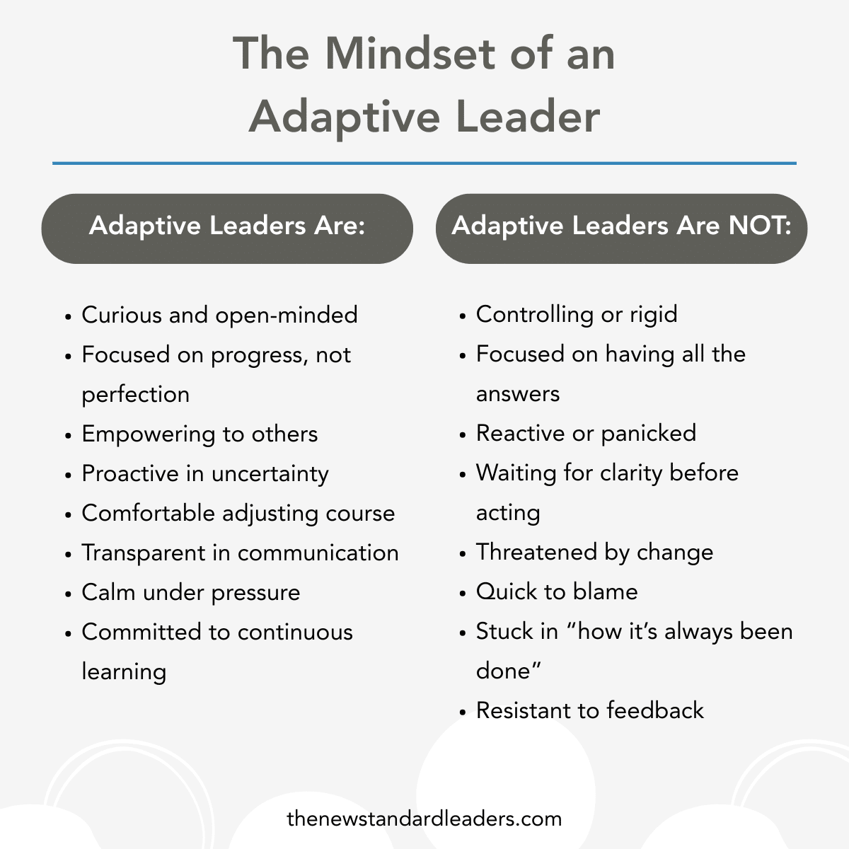 The mindset of an adaptive leader